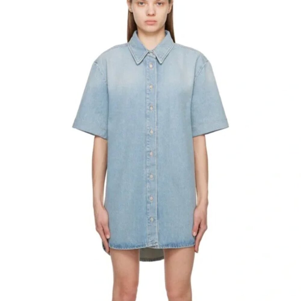 Loulou Studio Denim Shirt Dress